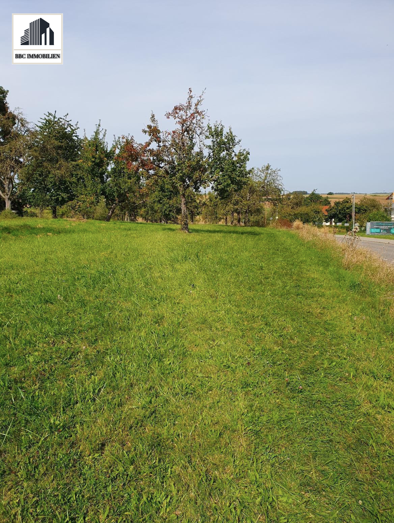 Charmantes Einfamilienhaus mit Scheune und großem Grundstück! (71083 Herrenberg-Oberjesingen)